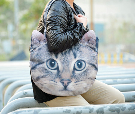 cat bag