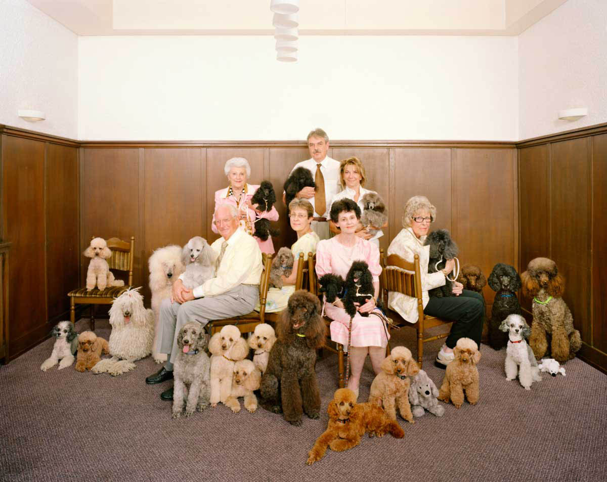 Poodle Club