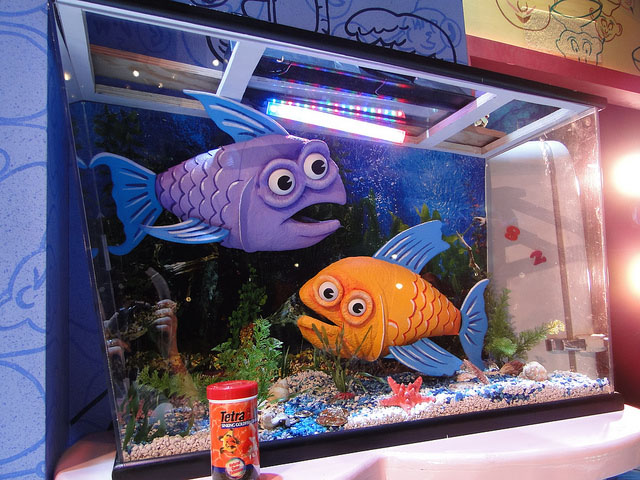pee-wees fish