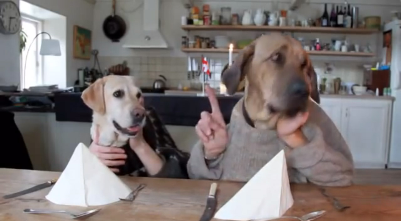 two dogs dining