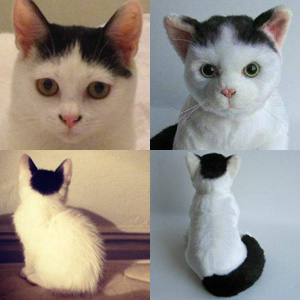 Cuddle Clones #8