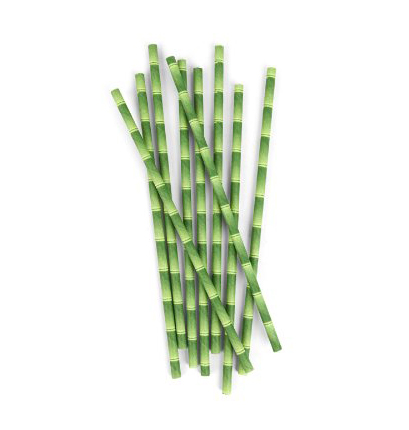 kikkerland paper straws bamboo