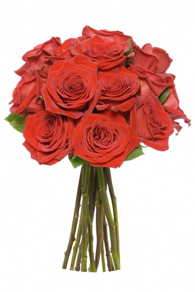 roses are red