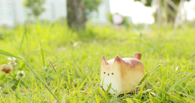 Breadcat-in-the-wild