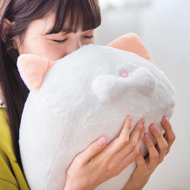 Cat-Forehead-lotion-plush