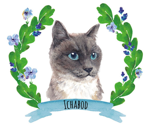 Cat-portrait
