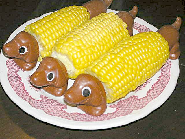 Corn on the Cob with dachshun
