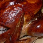 Featured-talking-turkey