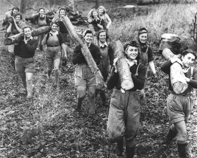 Lumberjills