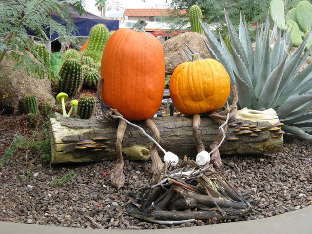pumpkin-3