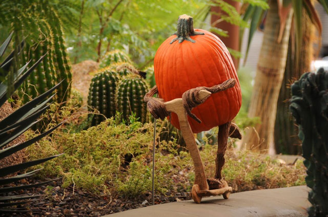 pumpkin-6