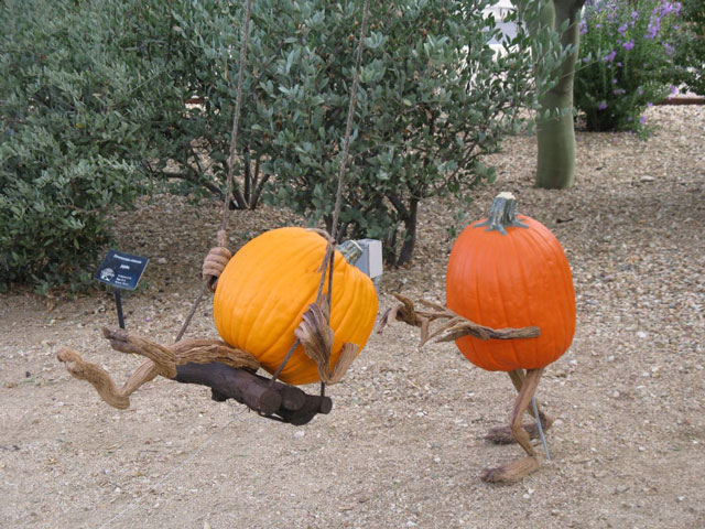 pumpkin-8