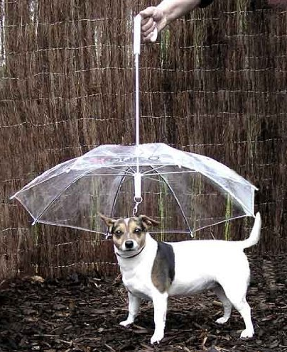 Dogbrella, the dog umbrella