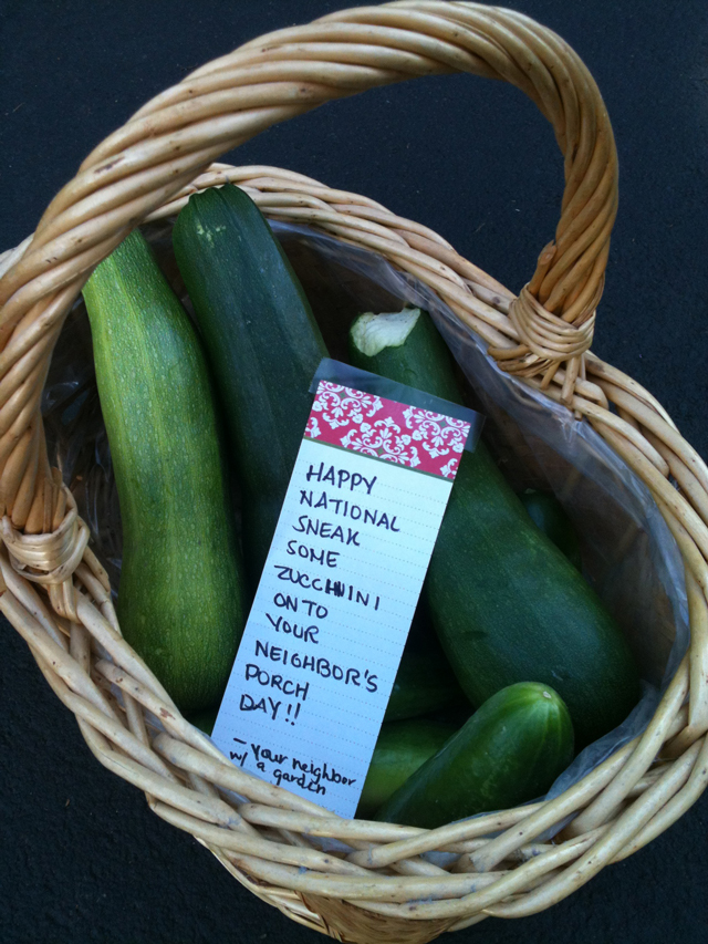 Zucchini-Day-1