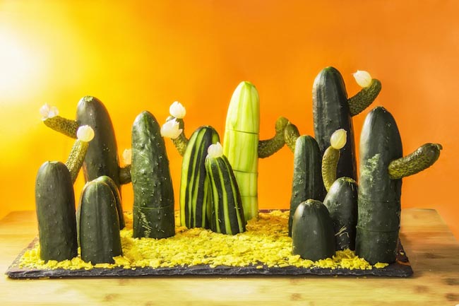 cactus_650x433