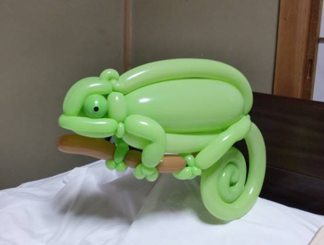 chameleon