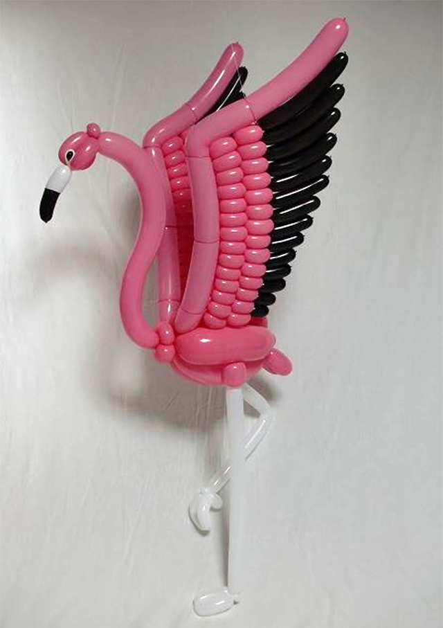 flamingo