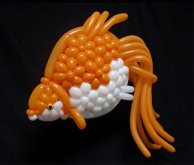 goldfish