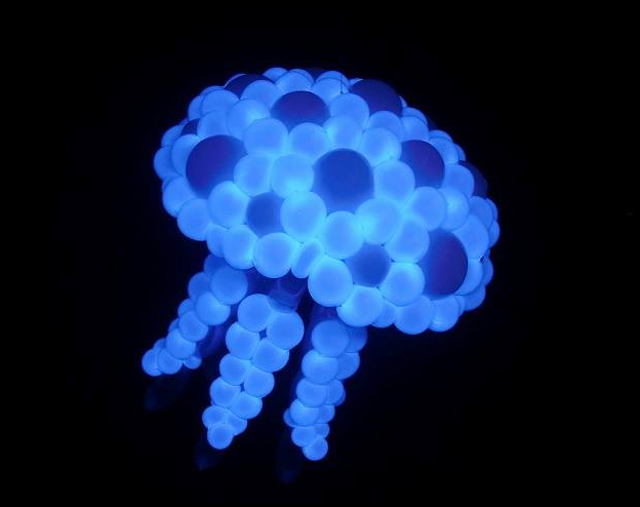 jellyfish