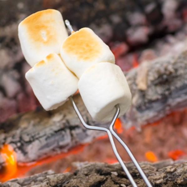 toasted_marshmallow
