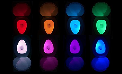 toilet lights 2